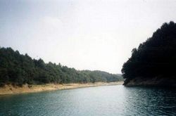 荆州危水国家森林公园